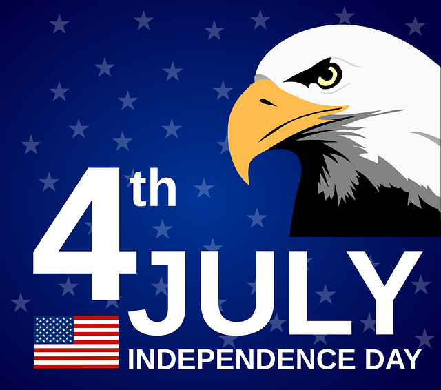 Free usa america eagle vector