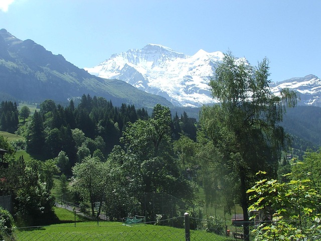 Gemischtrassiger Jungfrau Outdoor Kuessen