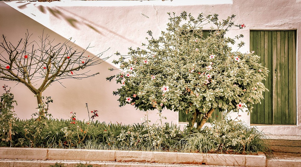 A Slice of Paradise: Discover the Algarve’s Most Exclusive Retreats