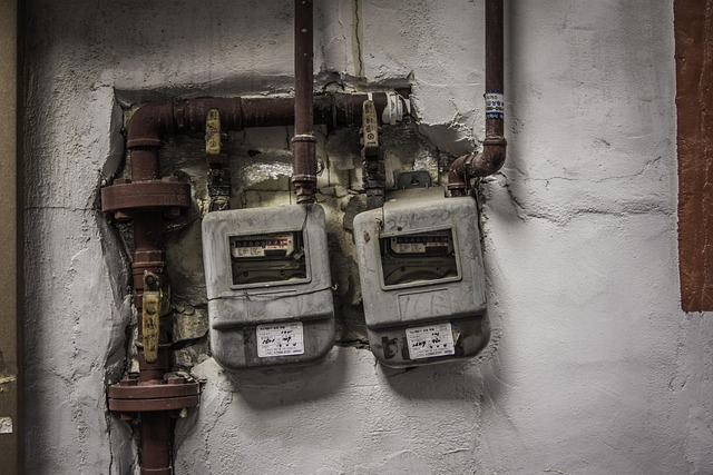Eléctrico, Calibre, Clásico, Pared