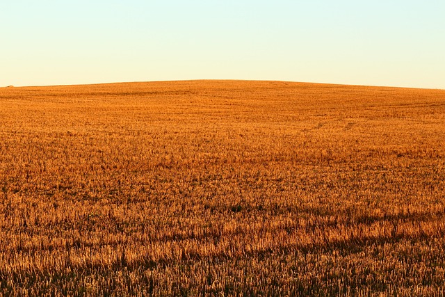 Zonsondergang, Veld, Stemming, Landschap