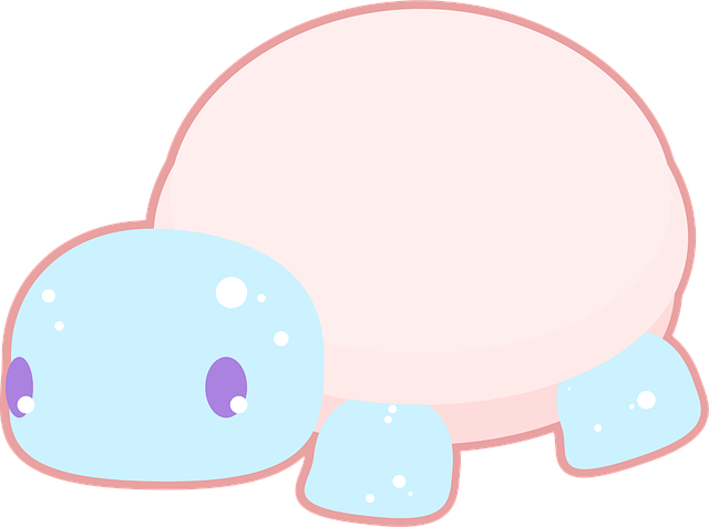 Tartaruga, Personagem, Fantasia