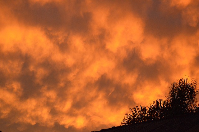 Himmel, Orange, Bäume, Landschaft