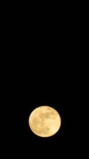 Lua Cheia Noite - Foto gratuita no Pixabay - Pixabay