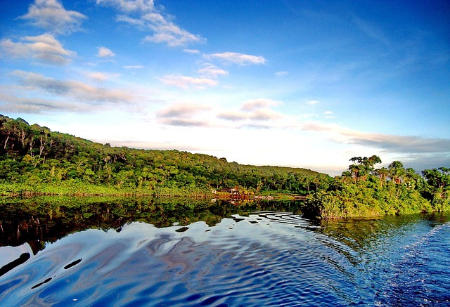 Free Gayana Jungle photo and picture