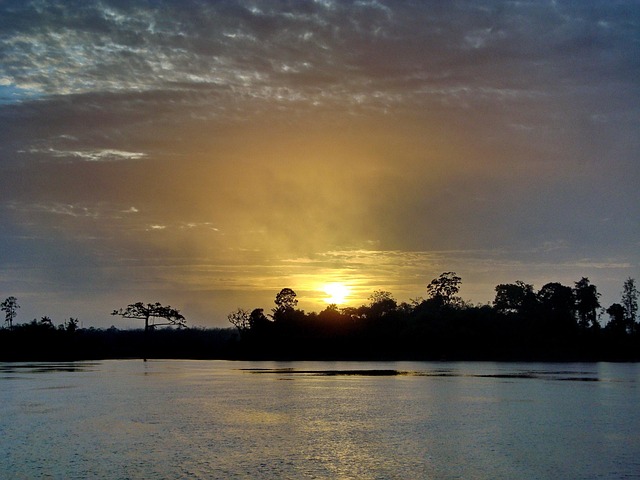 Free Gayana Jungle photo and picture