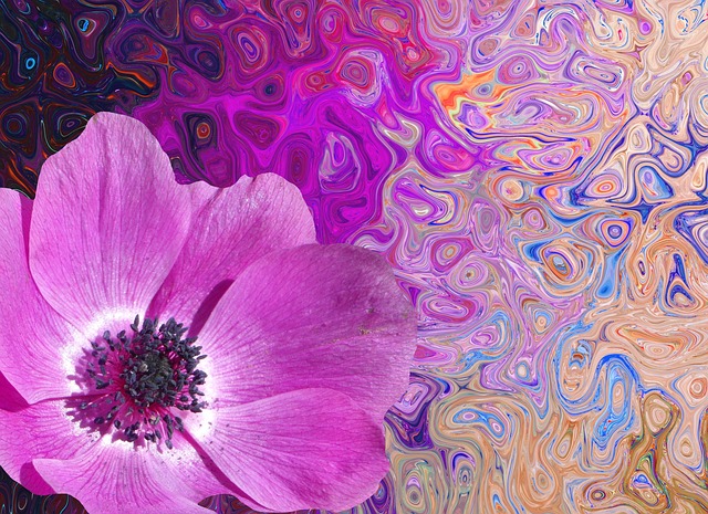 Free poppy background blossom illustration