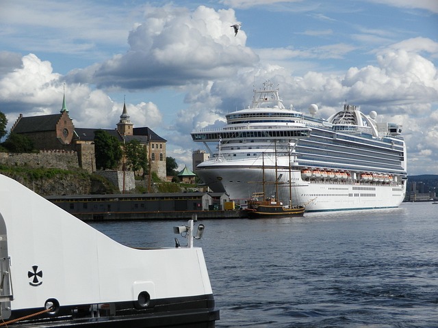 Free Cruise Cruise Ship photo and picture
