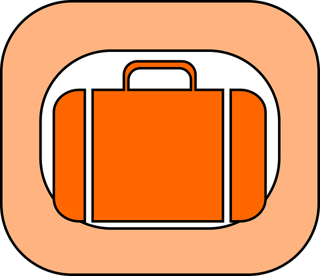 Free Bag Luggage vector and picture