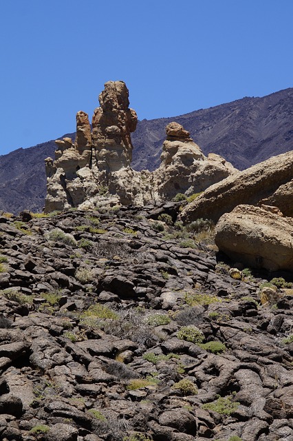 Free Teide National Park National Park photo and picture