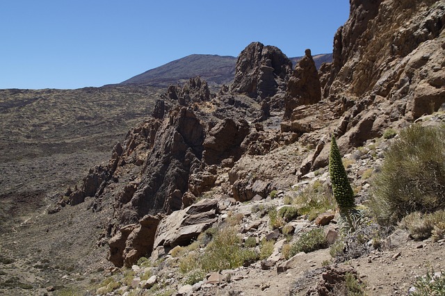 Free Teide National Park National Park photo and picture