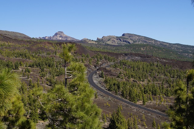 Free Teide National Park National Park photo and picture