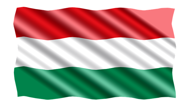 Free banner flag hungary illustration