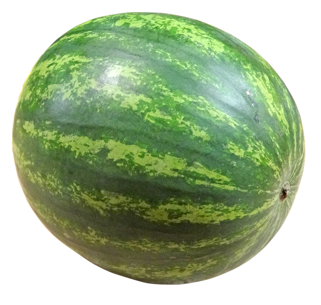 Free watermelon seedless fruit illustration