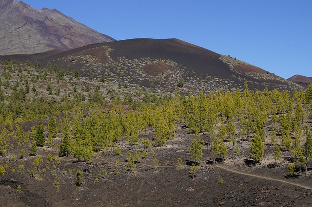 Free Teide National Park National Park photo and picture