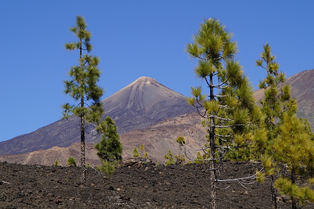 Free Teide National Park National Park photo and picture