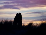 abendstimmung, sunset, romance