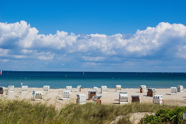 Free Beach Baltic Sea photo and picture