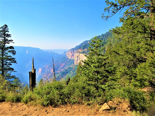 North Rim Grand Canyon Morning - Free photo on Pixabay - Pixabay