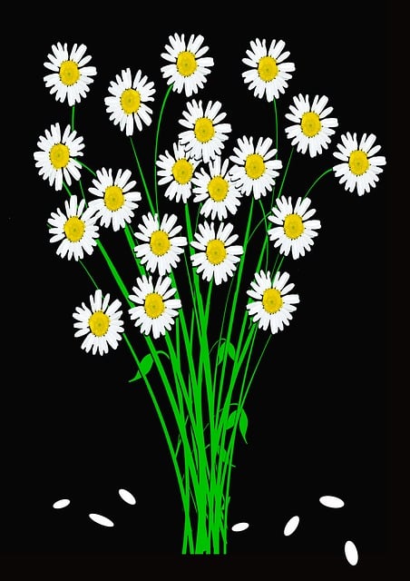 Free Bunch Of Flowers Ostrich illustration and picture