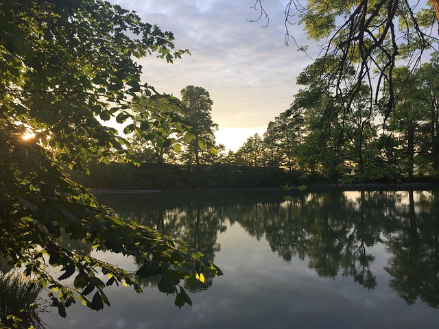 Jezero, Švýcarsko, Voda, Idylický