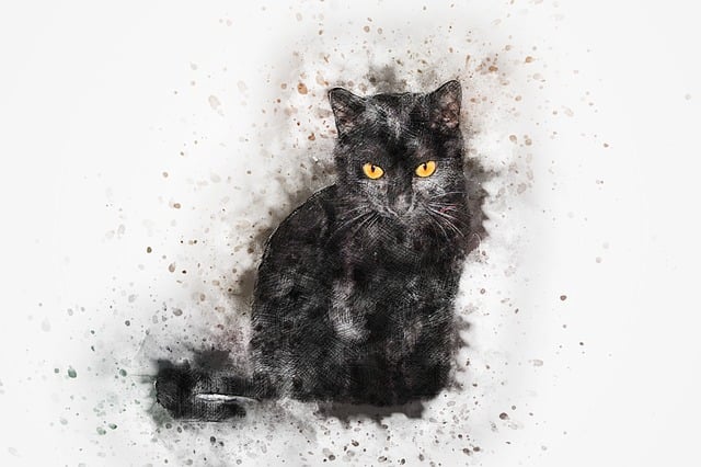 Free cat pet art illustration