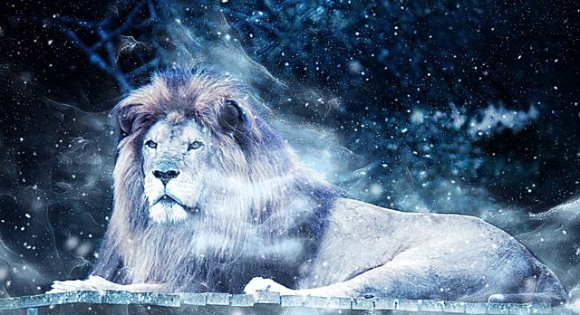 Free lion snow art illustration