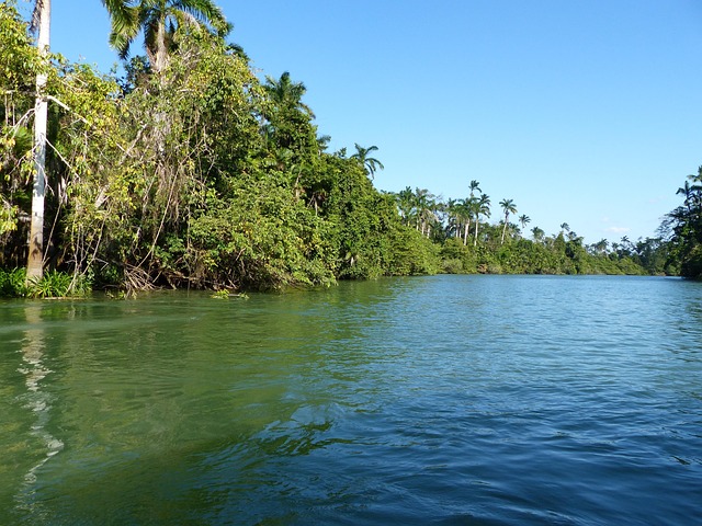 Free Belize River photo and picture