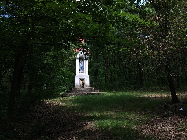 Free Chapel Forest photo and picture