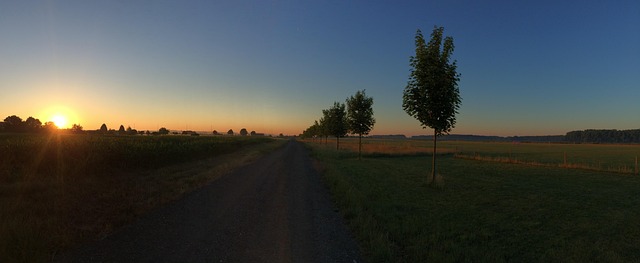 Free Sunset Sun photo and picture