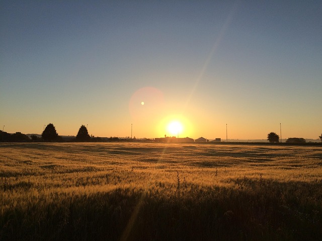 Free Sunset Sun photo and picture