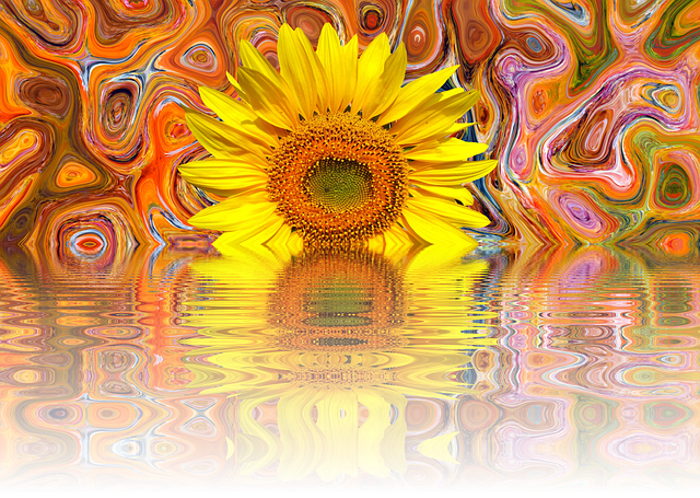 Download free HD stock image of Sunflower Summer Free sunflower summer late summer illustration