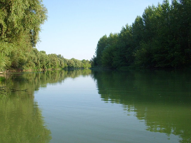 Free Backwater Danube photo and picture