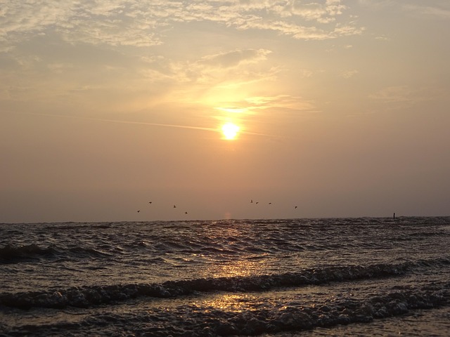 Free Sunrise Sun photo and picture