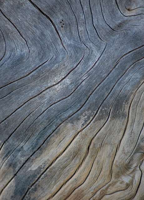 Free Timber Wood Texture Background photo and picture