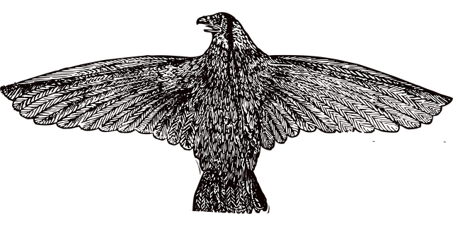 Free vintage illustration eagle vintage eagle vector