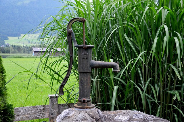 Free Fountain Pump photo and picture