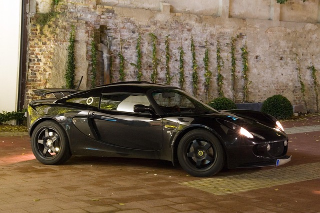 Free Lotus Exige Sports Car photo and picture