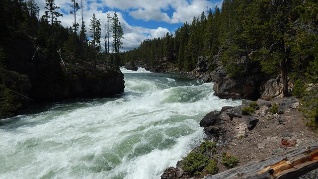 Free Rapids Water photo and picture