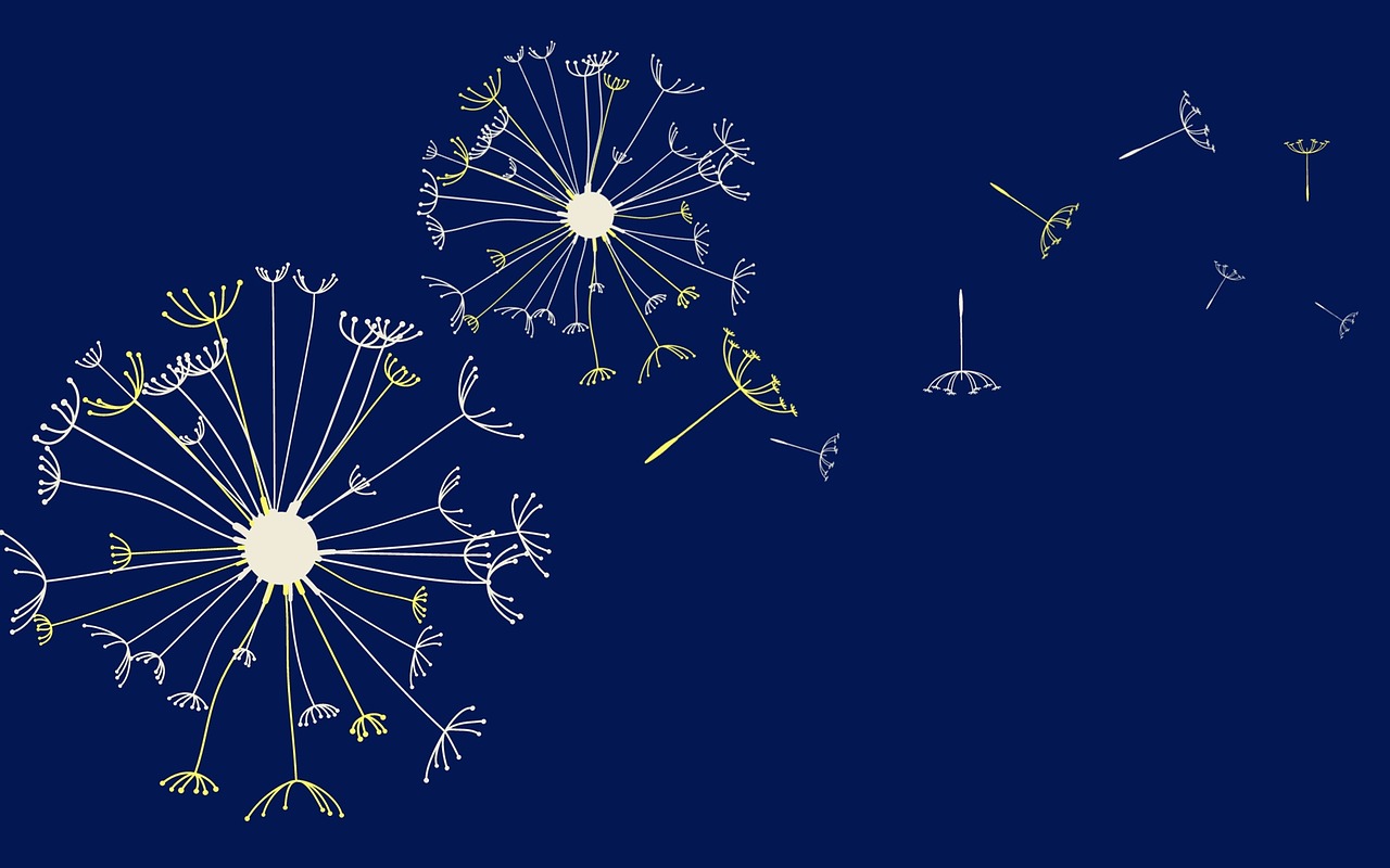 Explore 232+ Free Dandelion Illustrations: Download Now - Pixabay