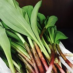 energy on the garlic, ainu onions, besides the hotel's host of recreational offerings ensures you have plenty to do to