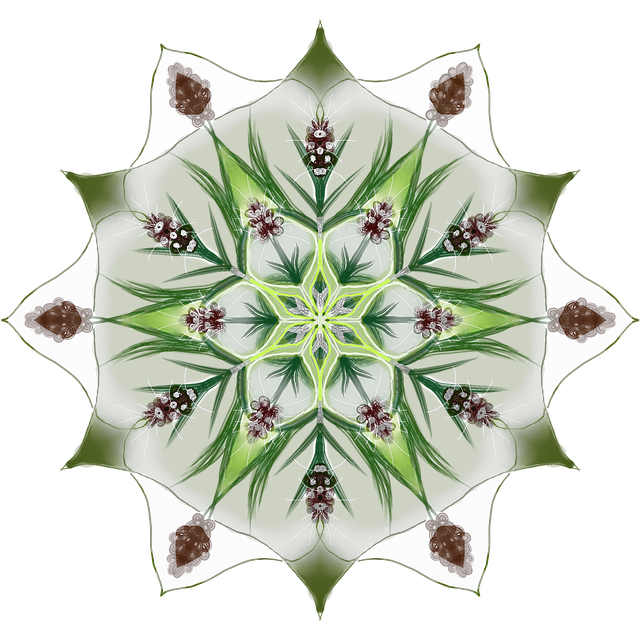 Free mandala blossom bloom illustration