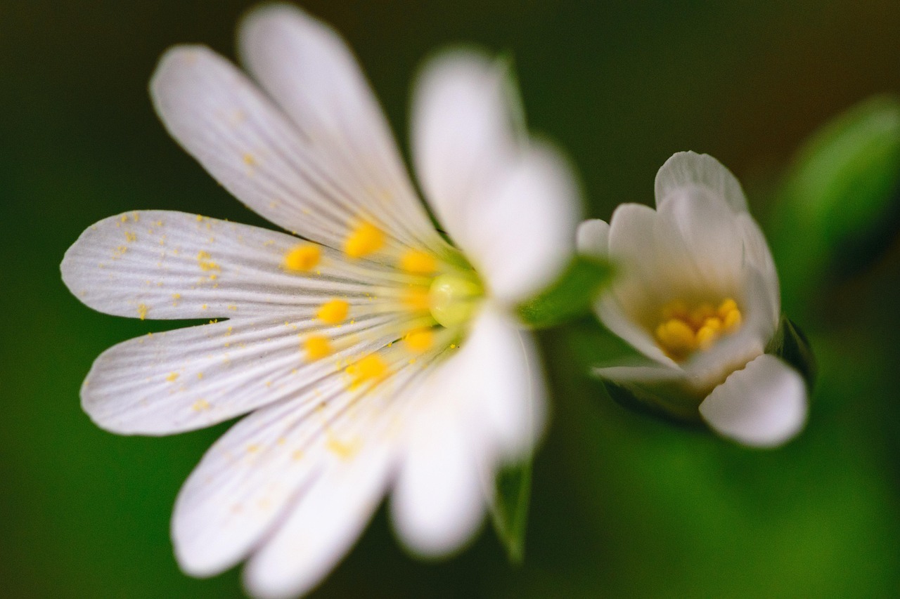 Abstract - free online jigsaw puzzle photo