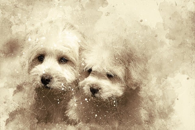 Free dog cotton art illustration