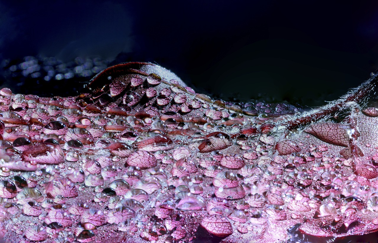 Abstract - free online jigsaw puzzle photo