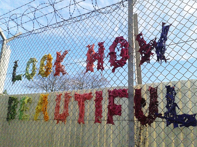 Free Sign Positive photo and picture