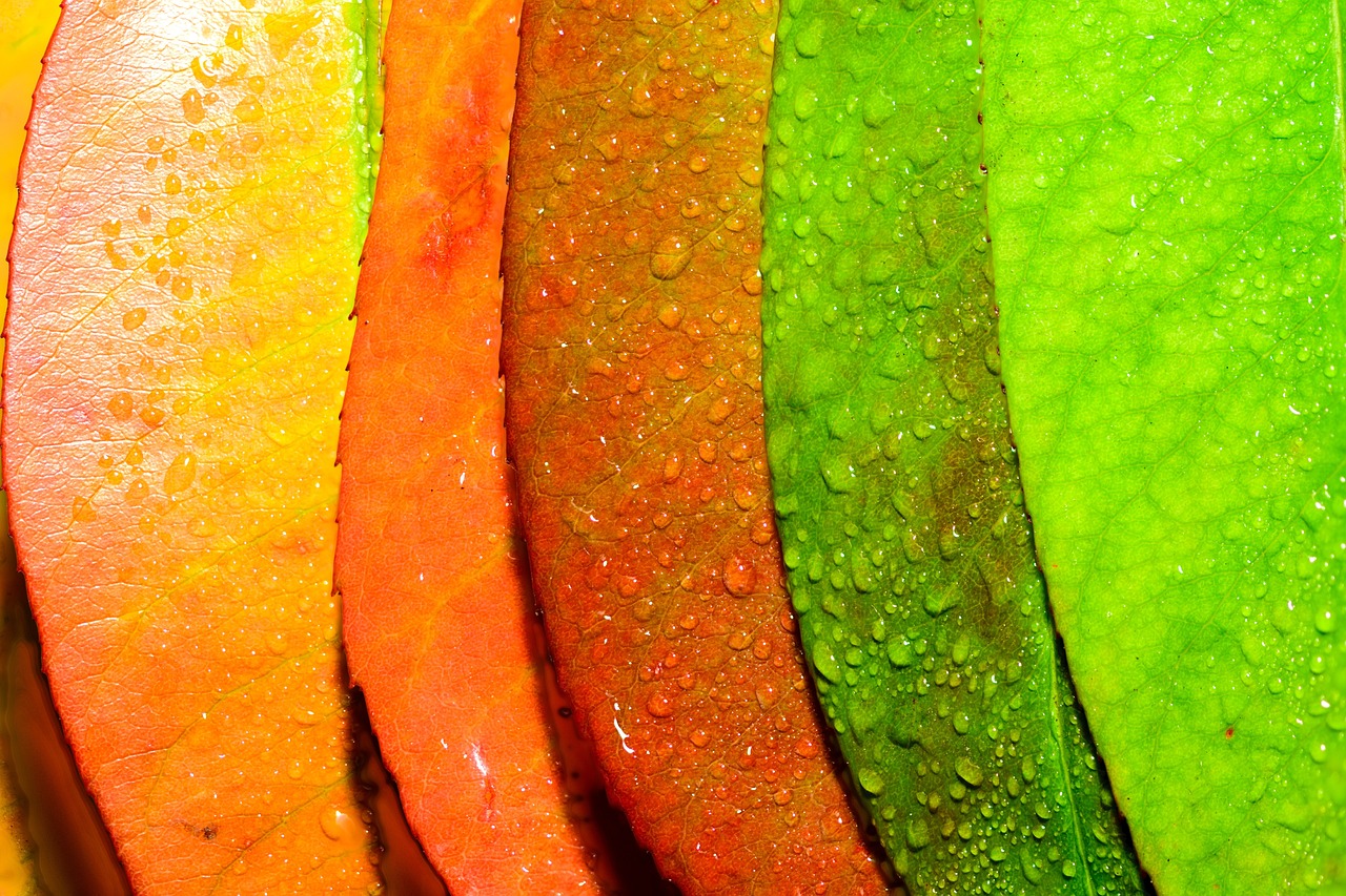 Abstract - free online jigsaw puzzle photo