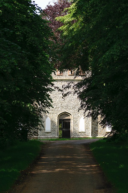 Árvore, Panorama, Natureza, Outono
