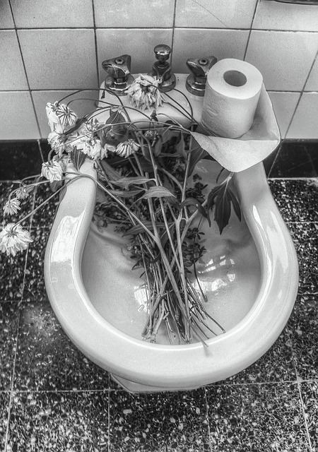 Blomster, Abstrakt, Design, Struktur