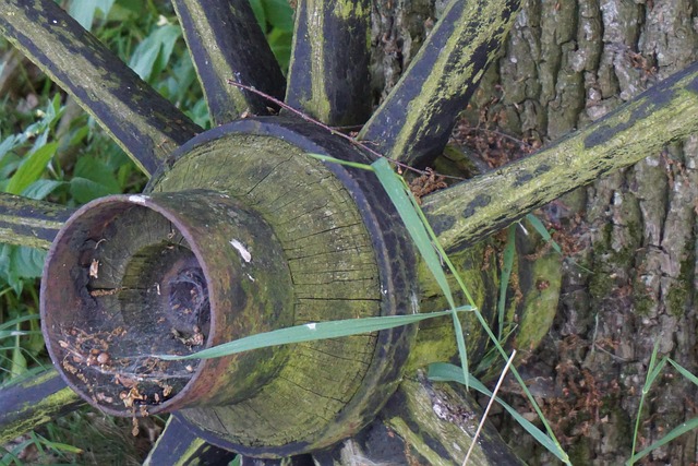 Free Old Wooden Wheel Agriculture photo and picture